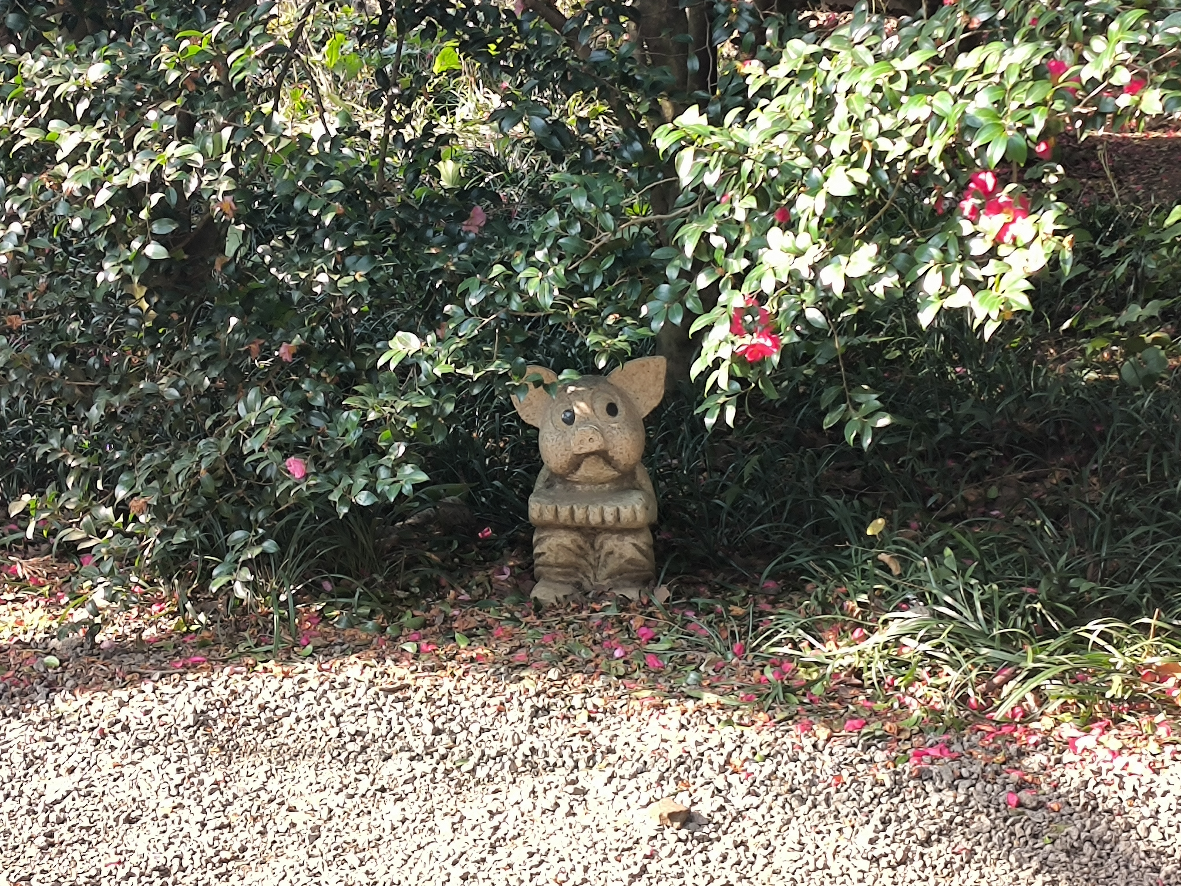 花树下的小猪在失望地看着你！