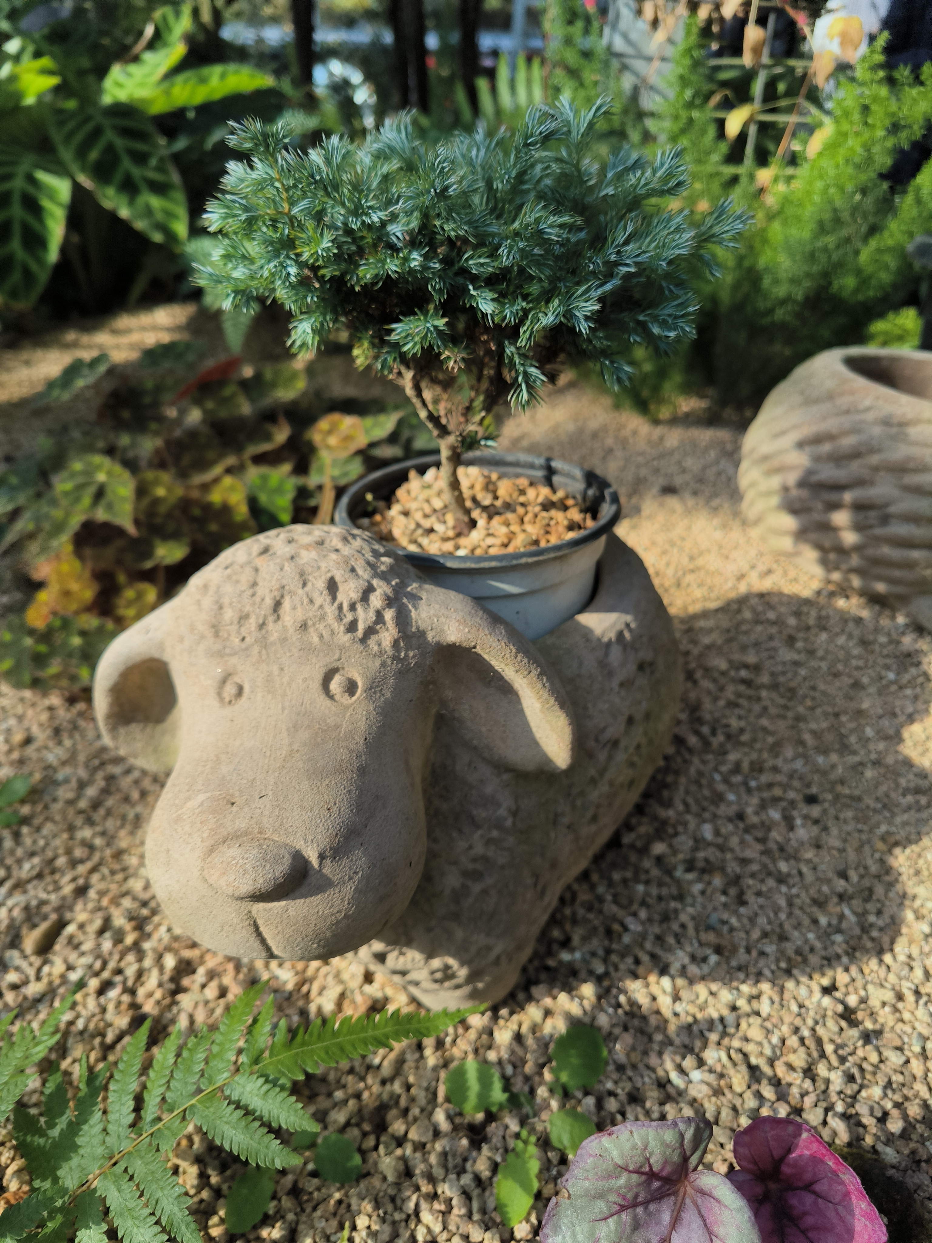 这是什么小羊还是小狗吗